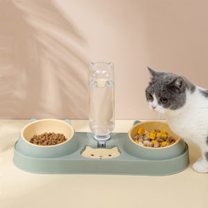 Double gamelle ergonomique pour chat et son distributeur d'eau au centre. Le socle vert pale réunit les deux bols. Un chat sur la droite blanc à la tête grise s'apprête à manger ses croquettes.
