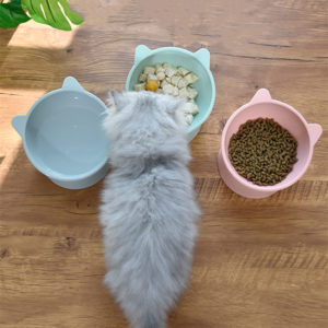Gamelle ergonomique inclinée pour chat. Trois bols, de gauche à droite, bleu, vert et rose avec un chat gris vu d'en haut qui mange dans la gamelle verte. Parquet beige au sol.
