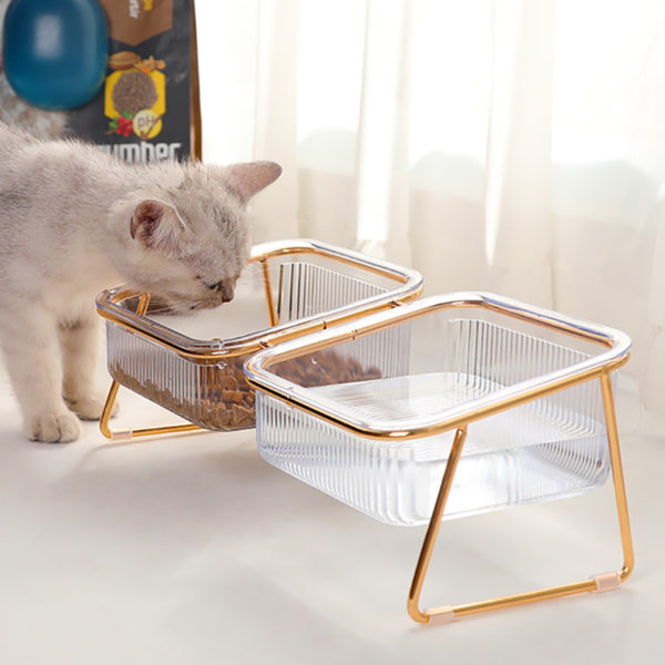 Gamelle ergonomique pour chat à double bol transparent et rebords dorés. Le chat blanc mange ses croquettes.