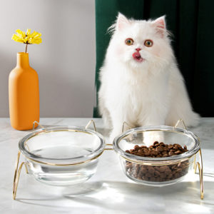 Double gamelle ergonomique pour chat. Ses deux bols transparents se glissent dans un support doré. Une gamelle pour l'eau, l'autre pour les croquettes. Un chat blanc se léchant les babines ainsi qu'un vase orange sont en arrière plan.