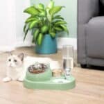 Bol ergonomique inclinable pour chat