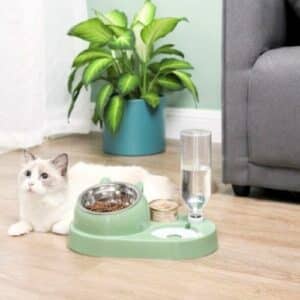 Bol ergonomique inclinable pour chat