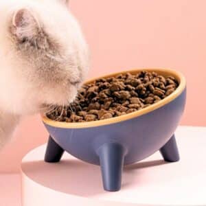 Bol incliné antidérapant pour chat