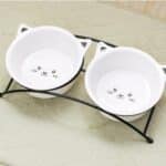 Double bol ergonomique avec support pour chat