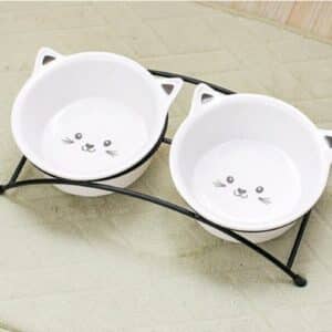 Double bol ergonomique avec support pour chat