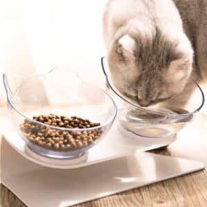 Double bol surélevé antidérapant pour chat