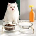 Double bol transparent et doré pour chat