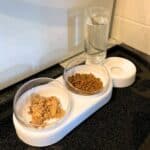 Double gamelle ergonomique surélevée pour chat