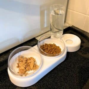 Double gamelle ergonomique surélevée pour chat