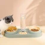 Double gamelle surélevée et sa fontaine d’eau