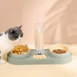 Double gamelle surélevée et sa fontaine d’eau