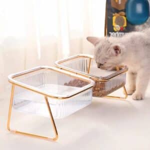 Gamelle ergonomique pour chat transparente