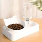 Gamelle pour chat surélevée et son distributeur d’eau