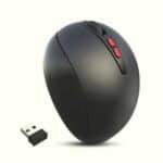 Souris arrondie ergonomique verticale sans fil