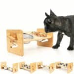 Gamelle ergonomique pour chat à hauteur réglable