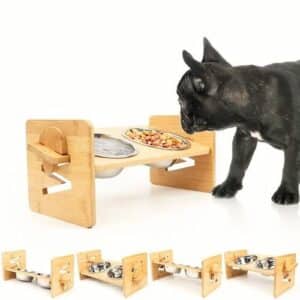 Gamelle ergonomique pour chat à hauteur réglable