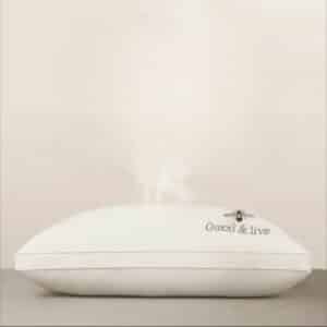 Oreiller Ergonomique Rempli en Microfibres