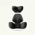 Coussin ergonomique pour voiture