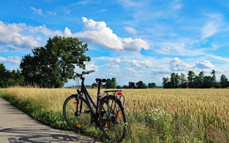 Comparaison entre Guidons Classiques et Ergonomiques Transport comparaison guidons classiques ergonomiques 5