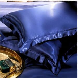 Lot de Deux Housses de Coussin Ergonomique Chics et Élégantes en Soie